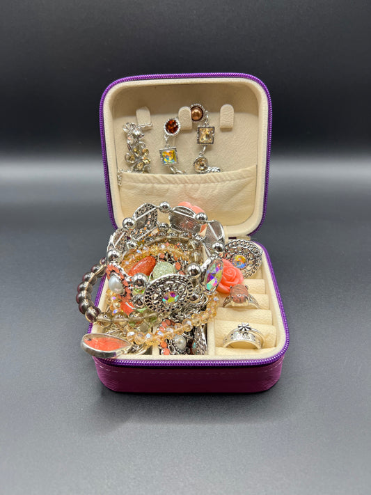 Mini Jewelry Case #3