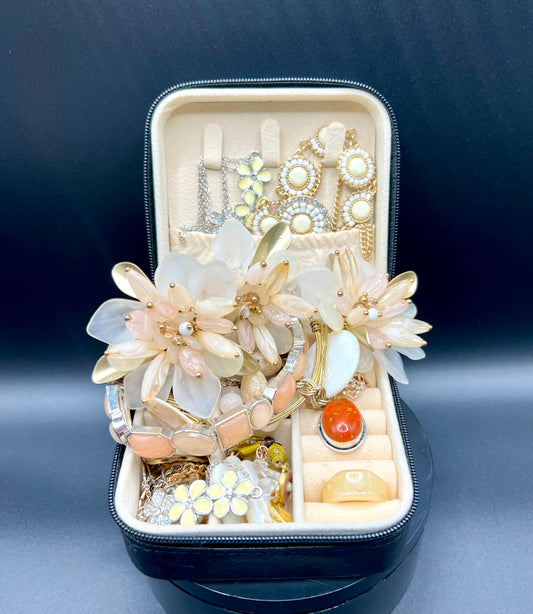 Mini Jewelry Case #4