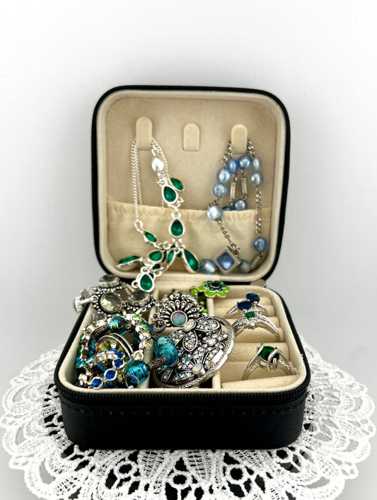Mini Jewelry Case #3