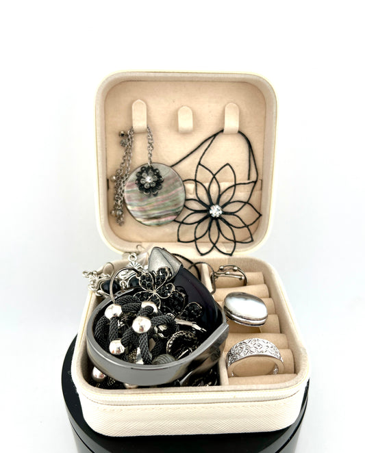 Mini Jewelry Case #6