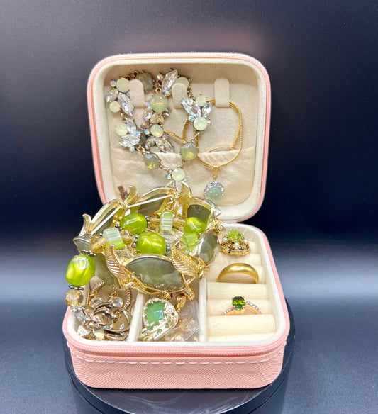 Mini Jewelry Case #1